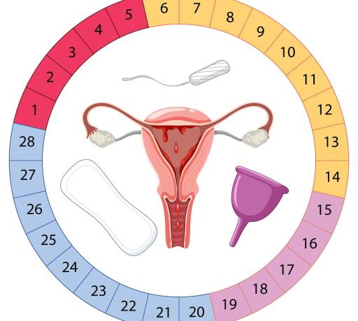 adet döngüsü bozuklukları ve düzensizliği